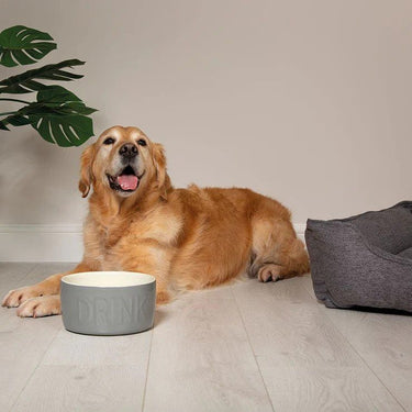 Scruffs Classic Water Dog Bowl - Grey 15cm